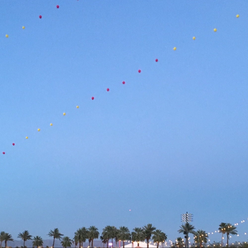 Meet your Posher, Eva